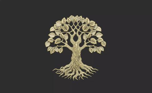 tree of life v4 leave plant branch forest grass