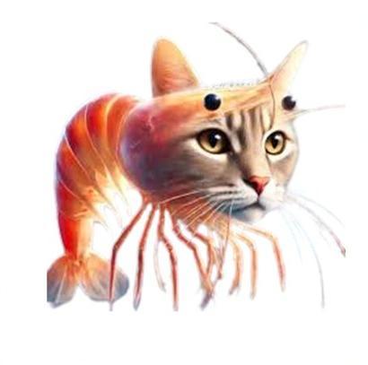 trulimero trulichina mem