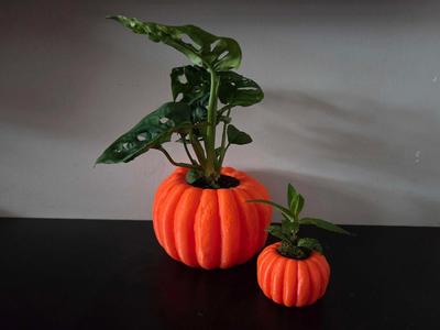 Pumpkin Planter
