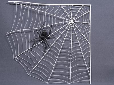 Spiderweb with Spider 