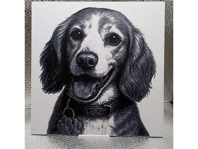 Cocker Spaniel Hueforge