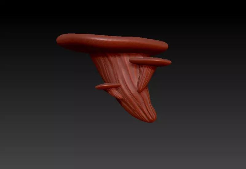 WALL SHELF  OYSTER MUSHROOM