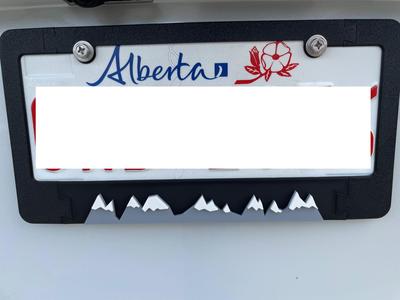 Mountains license plate cover