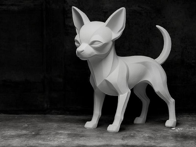 Short-haired Chihuahua