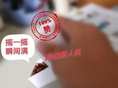Automatic Seed/Nut Dispenser