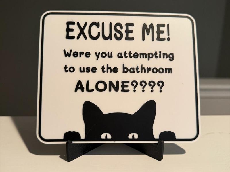 EXCUSE ME! WERE YOU ATTEMPTING TO USE THE BATHROOM