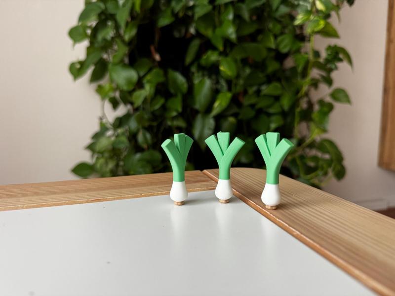 Leek