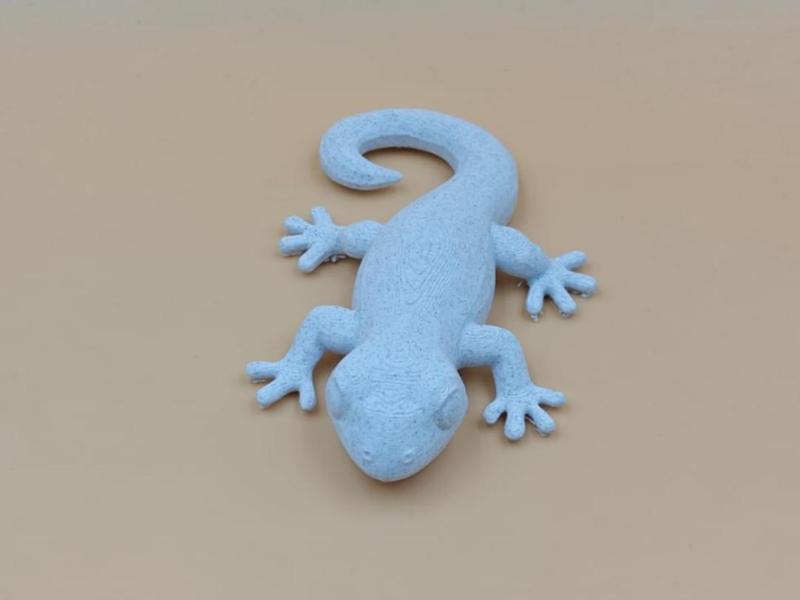 Lumina Salamander
