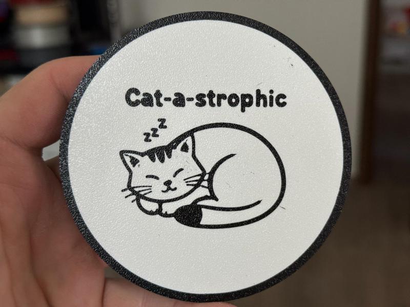 Cat Catastrophic coaster