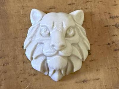 Tiger Head 1
