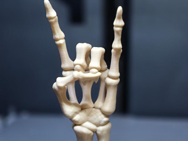 Bone to Rock