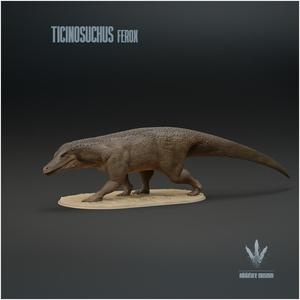Ticinosuchus ferox  : The Ticino Crocodile