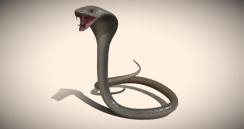 King Cobra Snake