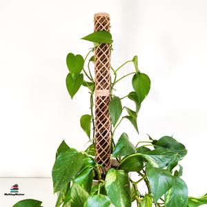 Moss stick climbing aid - Helix Mosspole