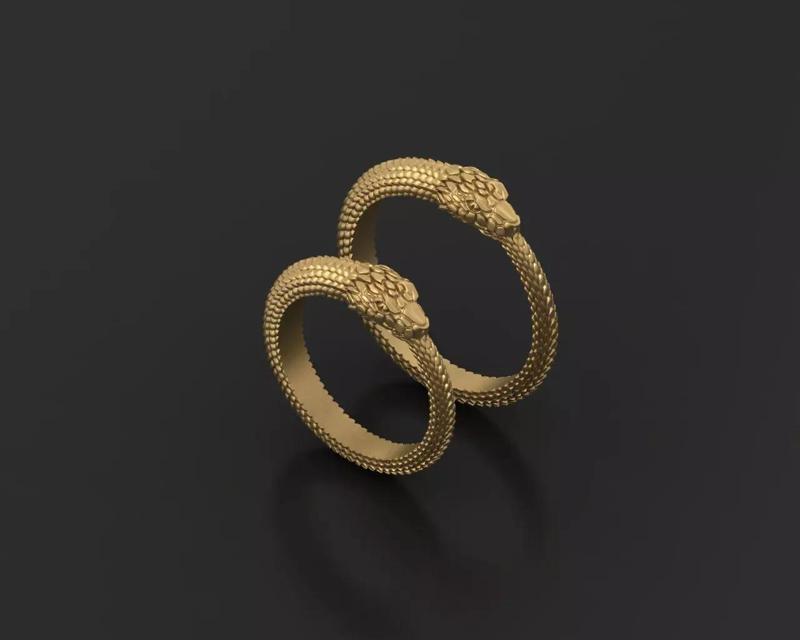 Wedding ring snake