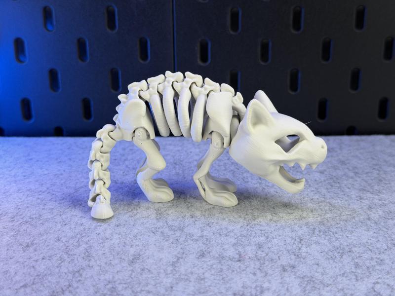 Articulated Skeleton Cat