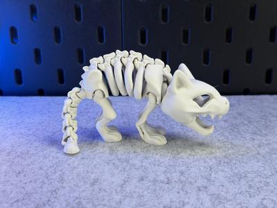 Articulated Skeleton Cat