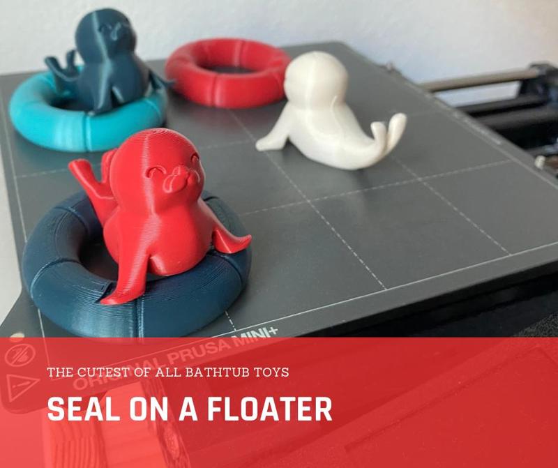 Seal on a floater (bathtub toy)