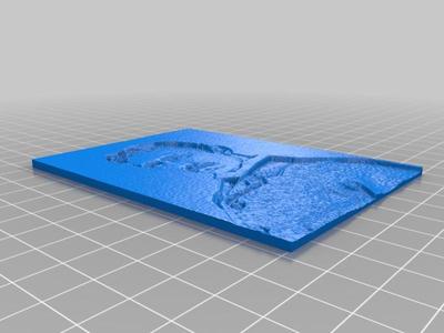 Nikola Tesla Lithophanes