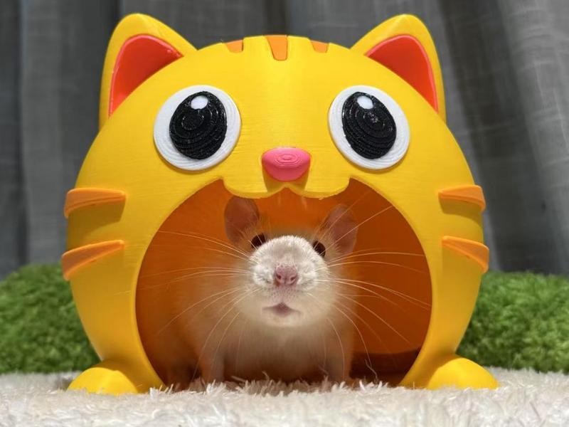 Cat's mouse nest