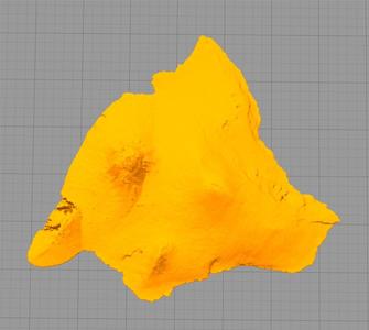 Hawaii Island Topographical Map