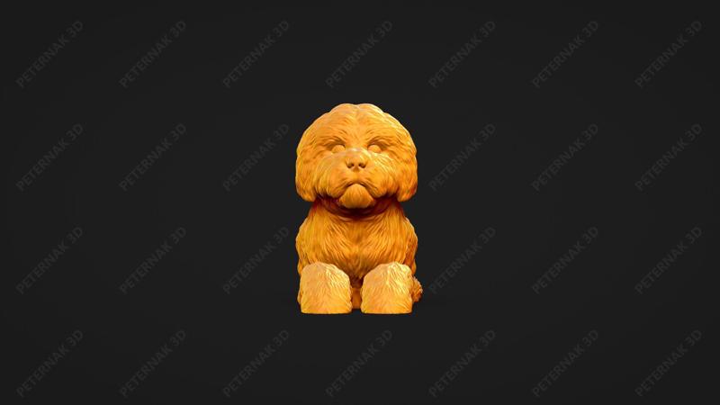 Bolognese Dog 3D Print Model Pose 07