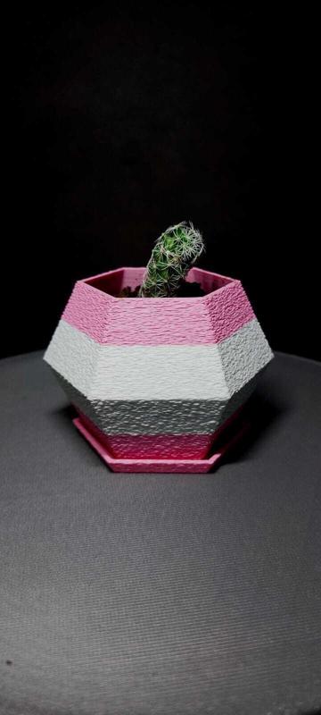 Pot for mini cactus