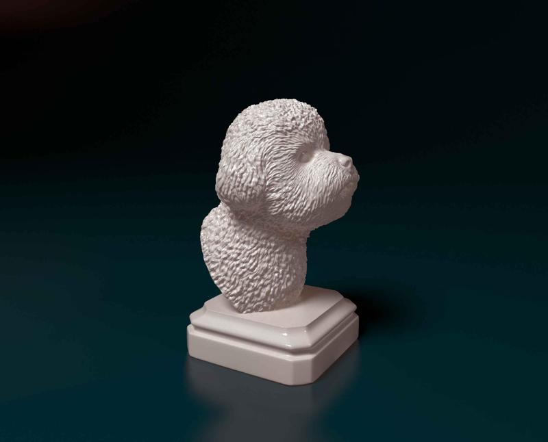 Bichon Frise bust