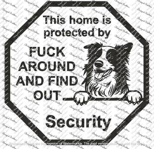 BORDER COLLIE FAFO FUCK AROUND AND FIND OUT SIGN DECOR SECURITY SIGN