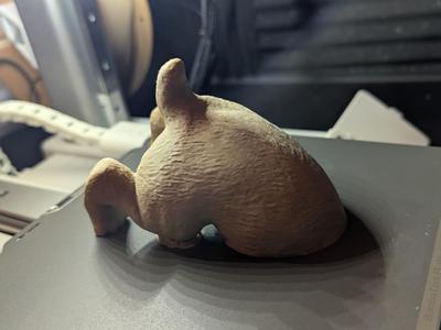 Dog searching in a hole