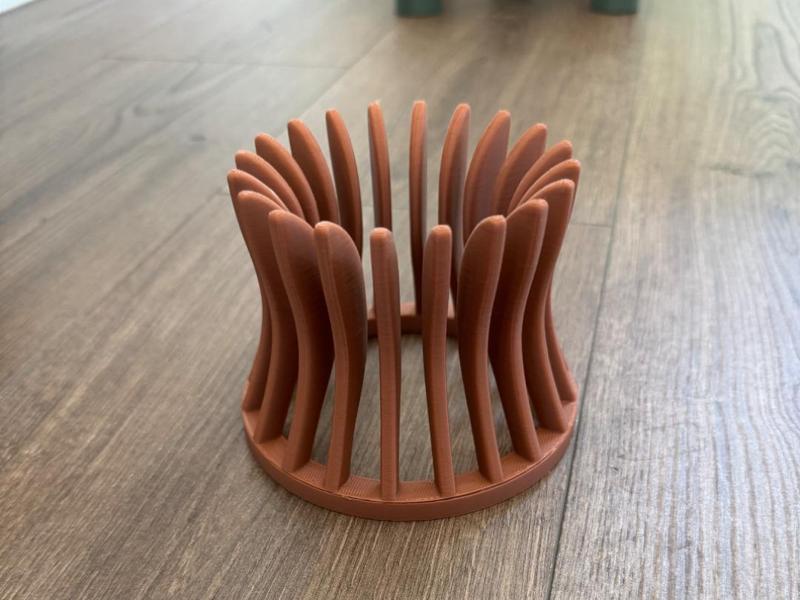 Airplant Holder (bigger airplants)