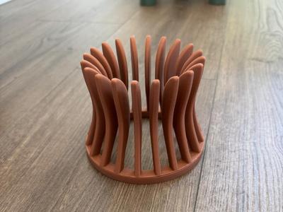 Airplant Holder (bigger airplants)