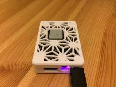 Ornate/Simple CHIP case for headless and dipless use