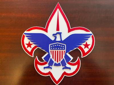 BSA Logo - 3 Colors with Screw or Wall Mounts