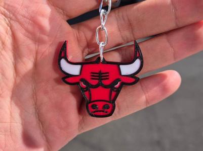 Keychain BULLS