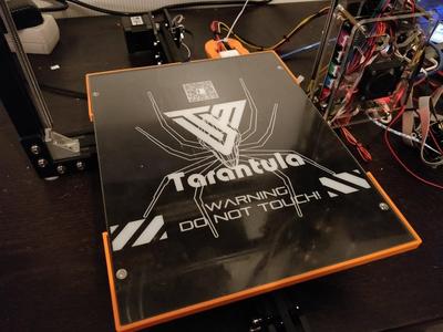 Tarantula glass mount for large bed