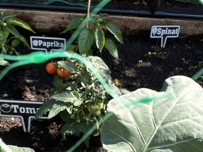 Plant signs (NOR)