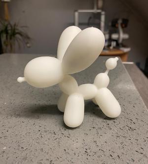 balloon dog