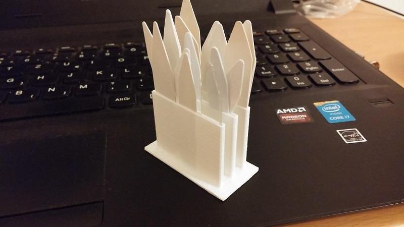 Organizer for collar stays