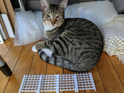 Cat Deterrent Spike Strip