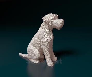 Soft-coated Wheaten Terrier