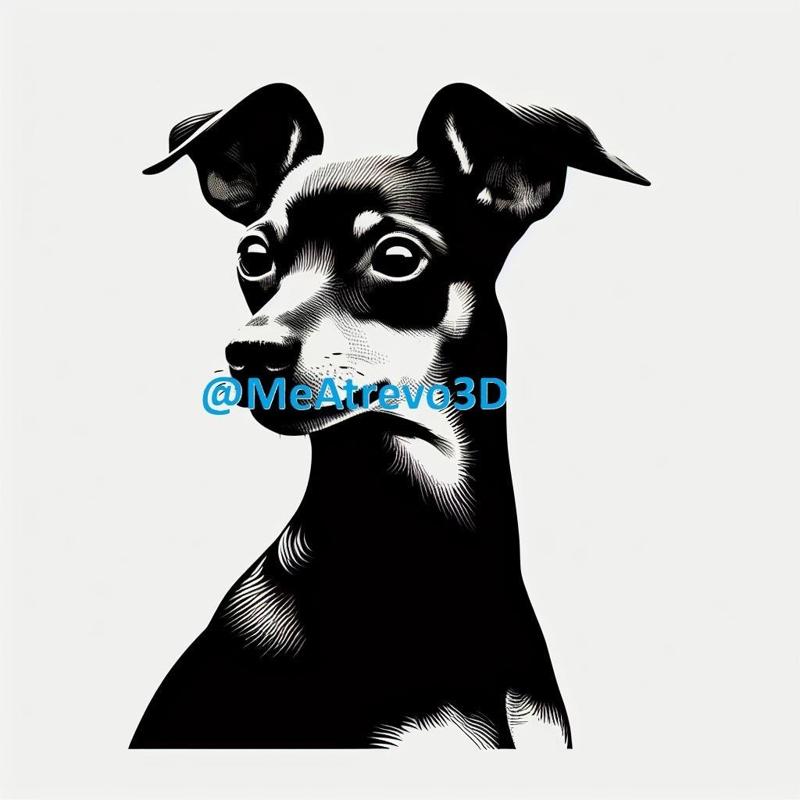 Miniature Pinscher #10