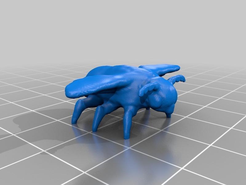 Venezuelan Poodle Moth