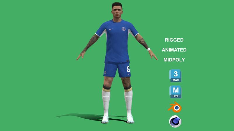 3D Rigged Enzo Fernandez Chelsea 2024