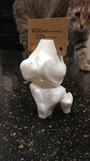 Human Knee Business Card Holder