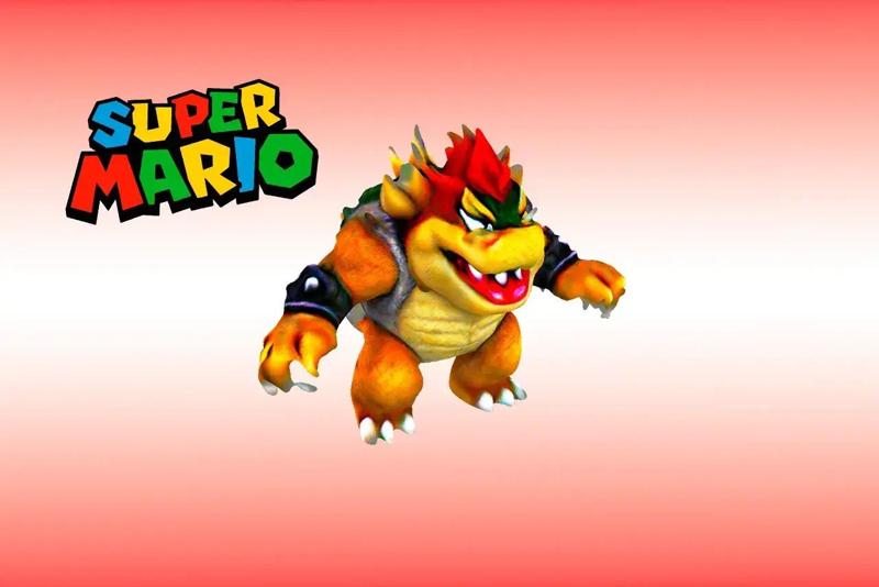 BOWSER MARIO BROS