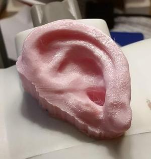 Human Ear Fridge Magnet