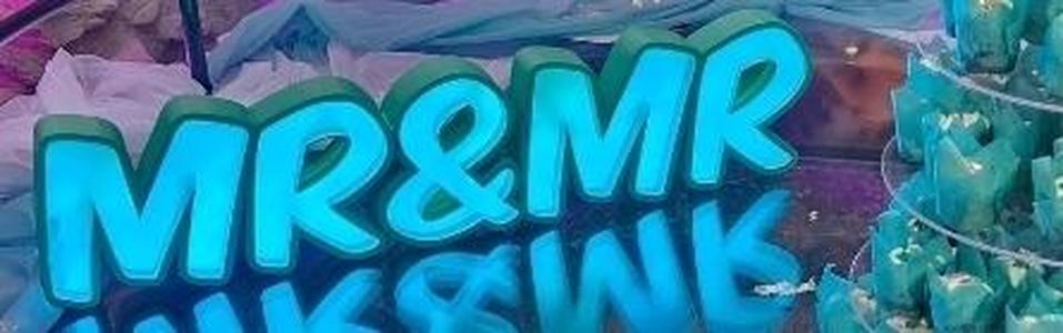 LED Wedding sign Mr&Mr