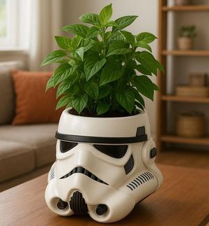 Stormtrooper Helmet Helmet Pot - Star Wars