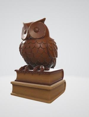 Wise Owl on Books
